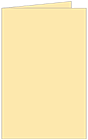 Peach Landscape Card 4 1/2 x 6 1/4 - 25/Pk
