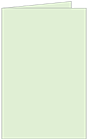 Green Tea Landscape Card 4 1/2 x 6 1/4 - 25/Pk