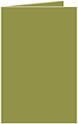 Olive Landscape Card 4 1/2 x 6 1/4 - 25/Pk