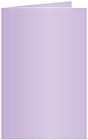 Violet Landscape Card 4 1/2 x 6 1/4 - 25/Pk