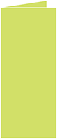 Citrus Green Landscape Card 4 x 9 - 25/Pk