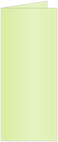 Sour Apple Landscape Card 4 x 9 - 25/Pk
