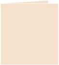 Latte Landscape Card 5 3/4 x 5 3/4 - 25/Pk