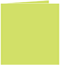 Citrus Green Landscape Card 5 3/4 x 5 3/4 - 25/Pk