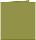 Olive Landscape Card 5 3/4 x 5 3/4 - 25/Pk