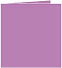 Plum Punch Landscape Card 5 3/4 x 5 3/4 - 25/Pk