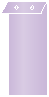 Violet Layer Invitation Cover (3 7/8 x 9 1/4) - 25/Pk