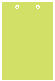 Citrus Green Layer Invitation Insert (5 x 7 1/2) - 25/Pk