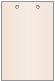 Nude Layer Invitation Insert (5 x 7 1/2) - 25/Pk