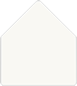 Egg Shell 6 x 9 Liner (for 6 x 9 envelopes)- 25/Pk