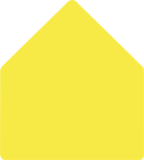 Lemon Drop - Liner 6 x 9- 25/Pk