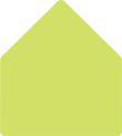 Citrus Green 6 x 9 Liner (for 6 x 9 envelopes)- 25/Pk