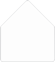 Crystal 6 x 9 Liner (for 6 x 9 envelopes)- 25/Pk
