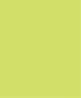 Citrus Green 7 X 8 3/4 Liner (for 7 1/2 x 7 1/2 envelopes) - 25/Pk