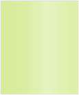 Sour Apple 7 X 8 3/4 Liner (for 7 1/2 x 7 1/2 envelopes) - 25/Pk