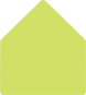 Citrus Green A2 Liner (for A2 envelopes)- 25/Pk