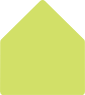 Citrus Green A6 Liner (for A6 envelopes)- 25/Pk
