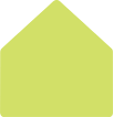 Citrus Green A8 Liner (for A8 envelopes)- 25/Pk