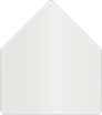 Silver 4 Bar Liner (for 4BAR envelopes) - 25/Pk