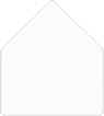 Quartz Outer #7 Liner (for Outer #7 envelopes)- 25/Pk