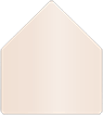 Nude Outer #7 Liner (for Outer #7 envelopes)- 25/Pk