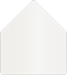 Lustre Outer #7 Liner (for Outer #7 envelopes)- 25/Pk