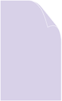Purple Lace Text 8 1/2 x 14 - 100 lb - 25/pk