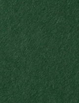 Colorplan Forest 8 1/2 x 11 -  Cover 130 lb - 25/Pk