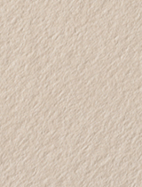 Colorplan Mist (Beige) 11 x 17 -  Cover 130 lb - 25/Pk