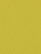 Colorplan Chartreuse 8 1/2 x 11 -  Cover 100 lb - 25/Pk