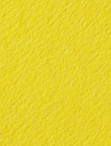 Colorplan Factory Yellow 8 1/2 x 11 -  Cover 100 lb - 25/Pk