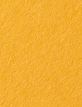 Colorplan Citrine (Bumble Bee) 11 x 17 -  Cover 130 lb - 25/Pk