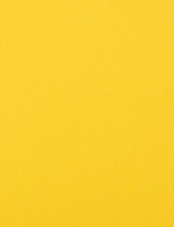 Lemon Drop Cover 8 1/2 x 11 - 25/Pk