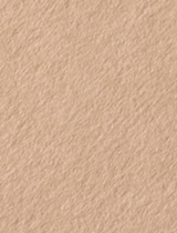 Colorplan Stone (Latte) 11 x 17 -  Cover 130 lb - 25/Pk