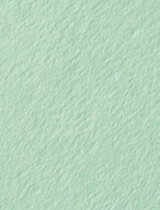 Colorplan Park Green (Green Tea) 8 1/2 x 11 -  Cover 100 lb - 25/Pk