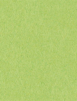 Citrus Green Cover 8 1/2 x 11 - 25/Pk