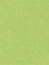 Citrus Green Matte Cover 8 1/2 x 11 - 25/Pk