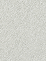 Colorplan Powder Green (Mist) 11 x 17 -  Cover 130 lb - 25/Pk