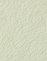 Colorplan Pistachio (Spring) 11 x 17 -  Cover 130 lb - 25/Pk