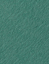 Colorplan Emerald (Bermuda) 11 x 17 -  Cover 130 lb - 25/Pk