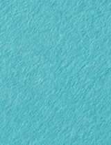 Colorplan Turquoise (South Beach) 8 1/2 x 11 -  Cover 100 lb - 25/Pk