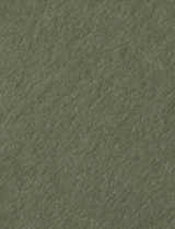Colorplan Mid Green 8 1/2 x 11 -  Cover 130 lb - 25/Pk