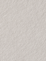 Colorplan Pale Grey (Soho Grey) 8 1/2 x 11 -  Cover 130 lb - 25/Pk