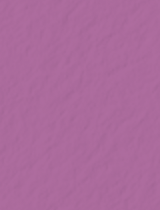 Plum Punch Cover 8 1/2 x 11 - 25/Pk