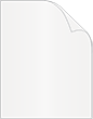 Pearlized White Metallic Cover 8 1/2 x 11 - 25/Pk