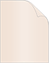 Nude Cover 8 1/2 x 11 - 25/Pk