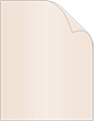 Nude Metallic Cover 8 1/2 x 11 - 25/Pk