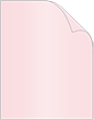 Rose Metallic Cover 8 1/2 x 11 - 25/Pk