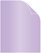 Violet Metallic Cover 8 1/2 x 11 - 25/Pk