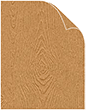 Tindalo Savanna Text 8 1/2 x 11 - 50/Pk